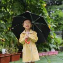 신나는 비 ☔️ 놀이~ .🎶 이미지