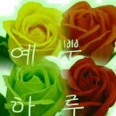 예쁜하루 이미지