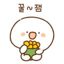 응암초등 이미지