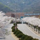 ㈜전진산업 이미지