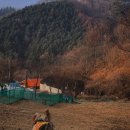 털찐강아지 이미지