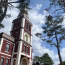 장계한들로 이미지