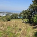 집밥 미식회 이미지