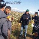 김성철 농장 Daum카페