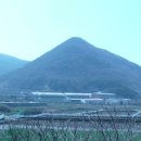 청광새들녘마을 이미지