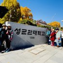 11/14(금)성균관대학교 은행나무~ 창경궁 이미지