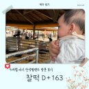 입면농협 | [25.10.11.] 찰떡일기 (37) :: D+163 연휴 눈치게임 대성공😊│5개월 아기 안성팜랜드 방문 후기 ✔