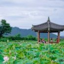 왕릉 유적지, 첨성대, 동궁과월지 볼거리 경주 이미지