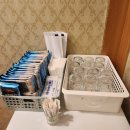 코리아나호텔 | 광화문 점심 회식 모임장소 추천 맛좋고 분위기 좋은 VIP참치 코리아나호텔점 점심방문 후기