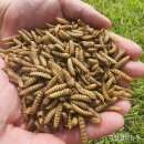 인의축산 이미지