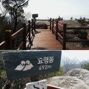 팔공산녹색길 숲길 2코스 티스토리