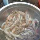 가족여행민박 이미지