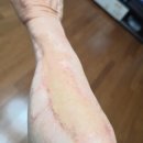 연세아름필의원 이미지