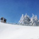 영상목장 이미지