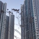 주안부동산중개 이미지
