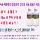 애수농장 | 반려동물 천연 미네랄 워터 반려애수 (반려애수 효능효과)