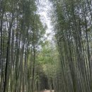 죽림원 | 담양여행 죽림원가든 대통찜 내돈내산 후기