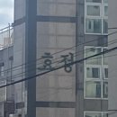 경북대로(남) | 조금 늦은 24-2 국립대 학점 교류 교환학생 후기 (경북대 - 부산대)