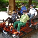 섬진강 레일바이크 이미지