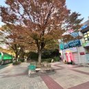 화스킨케어 | 영등포 산전마사지 신수민스킨케어 후기 ENP 마사지