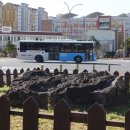 도련지석묘 1호 이미지