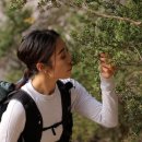 테라피민박 이미지