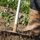 현대사슴농장 이미지