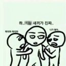 꽃새우 영번지 이미지