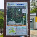 원주굽이길 16코스 매지순환둘레길 | 원주굽이길 16코스 매지순환둘레길