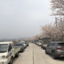 영산포생선가게 네이버블로그