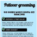 펫러버 그루밍 이미지