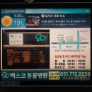 벡스코 동물병원 이미지