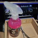 하나자동차 | 자동차 실내 청소 이거 하나면 끝! 뉴욕 미스틱블러드 실사용 후기