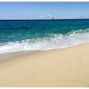 건아렌터카 이미지