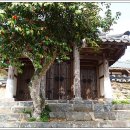 무안-1호 이미지