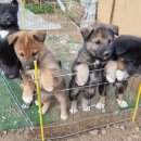 봉이하우스 이미지