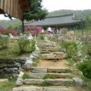 명지바람 이미지