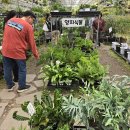 댕댕이밥상 | [​파주] 식물 집사들의 성지! 댕댕이와 정글 탐험 떠나는 '조인폴리아' ( 희귀식물 득템) 🌿