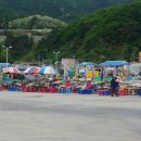 신남항 티스토리