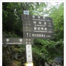 경남 함양 지리산 칠선계곡 천왕봉(1,915M)[2015/05/30] 이미지