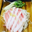스시강 이미지