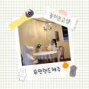호호산장 | 제주도 호호산장과 실내 데이트로 딱인 무민랜드!