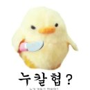 (주)라엘코리아