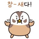 카페요거요거 이미지