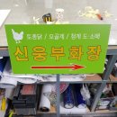 신흥부화장 이미지