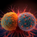 41590-01-01-15 이미지