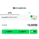 틱톡 | 틱톡 라이트 출금 사용 후기