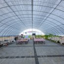 선미농장 이미지