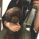 똑똑하개 | 아인솝 구매후기 3등이라개:)