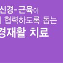 척추관절재활MSR메디센터 이미지